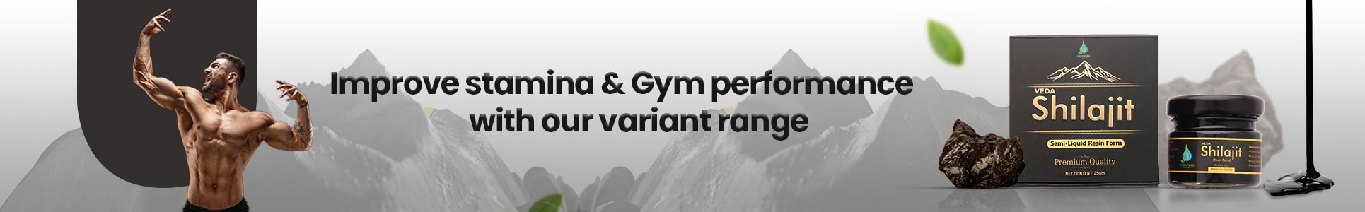 Vedapure Shilajit