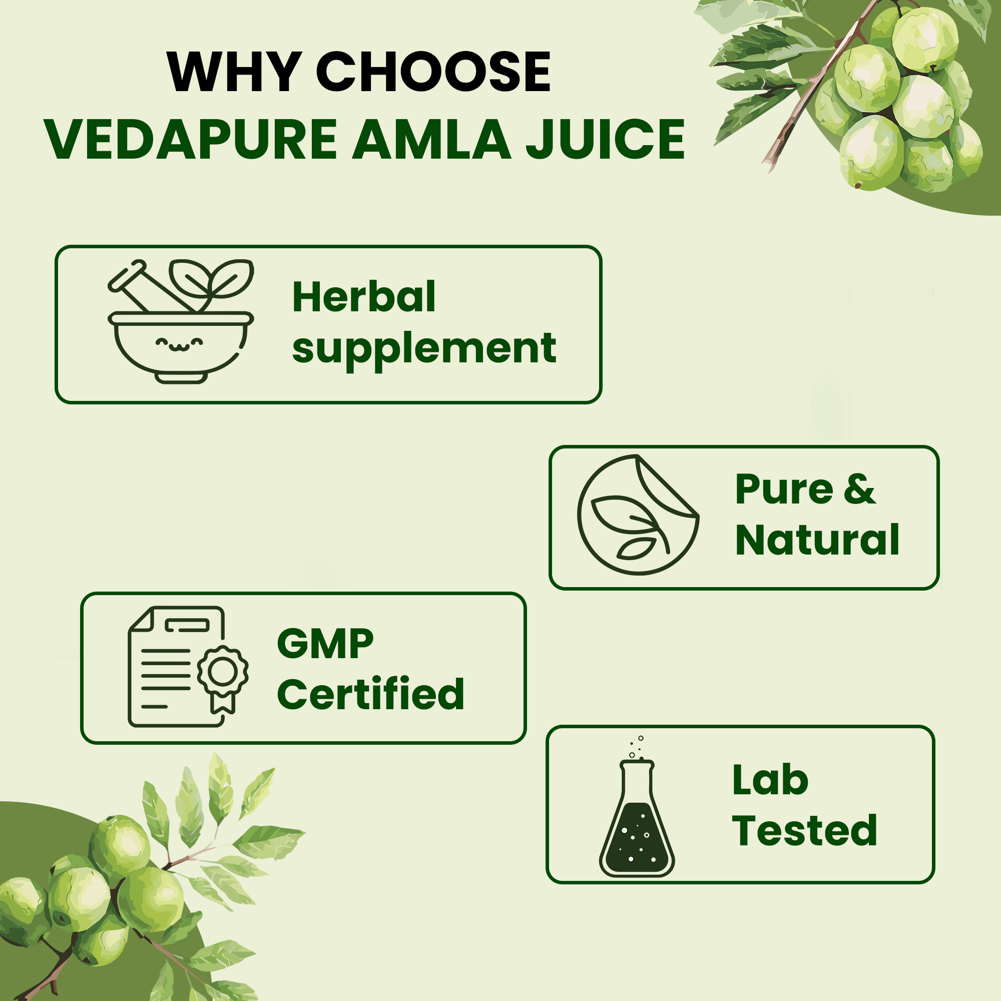 Vedapure Naturals Amla Juice Pure & Natural | Supports Immunity, Energy & Detoxification-500ML