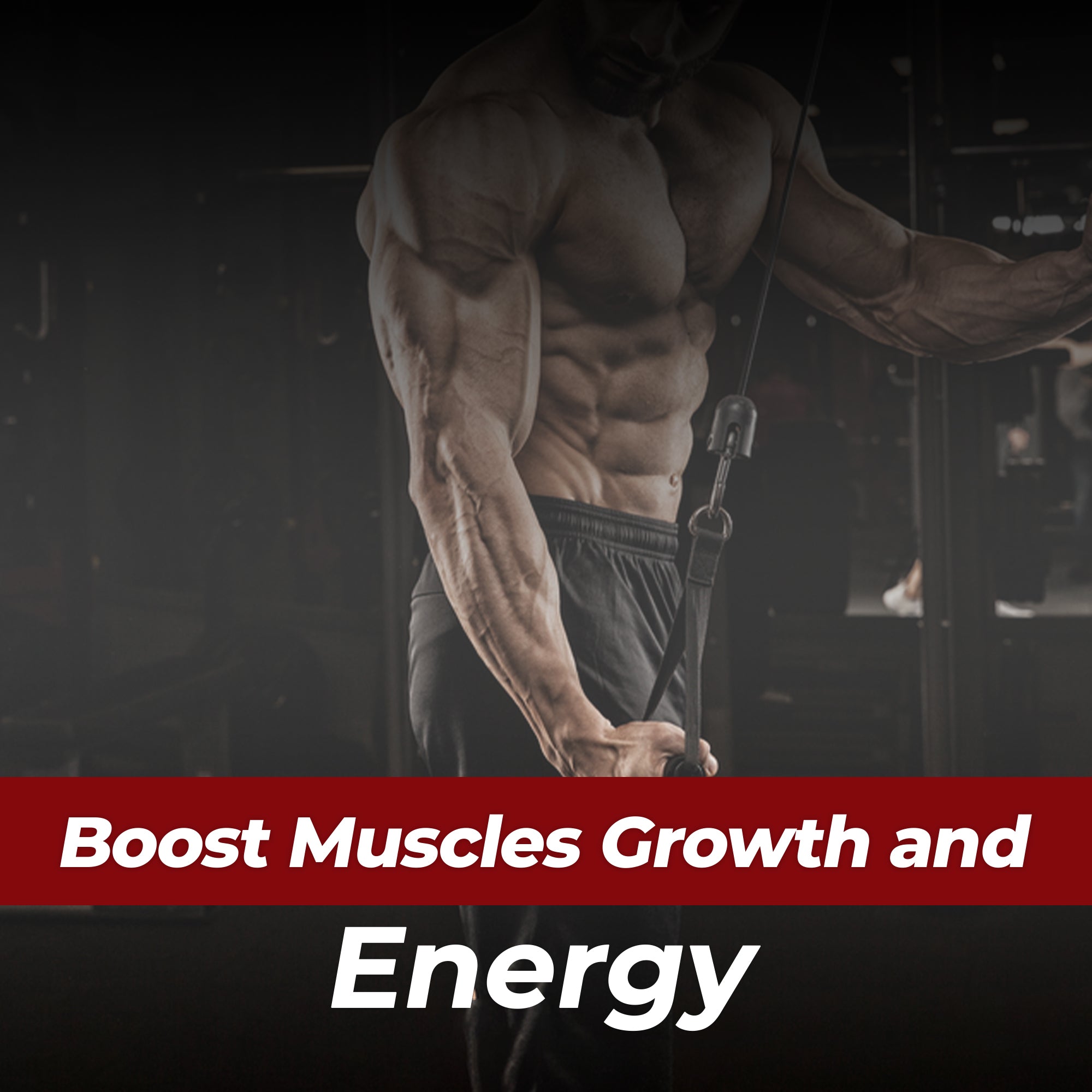 Testosterone & Ashwagandha Combo Vedapure Naturals