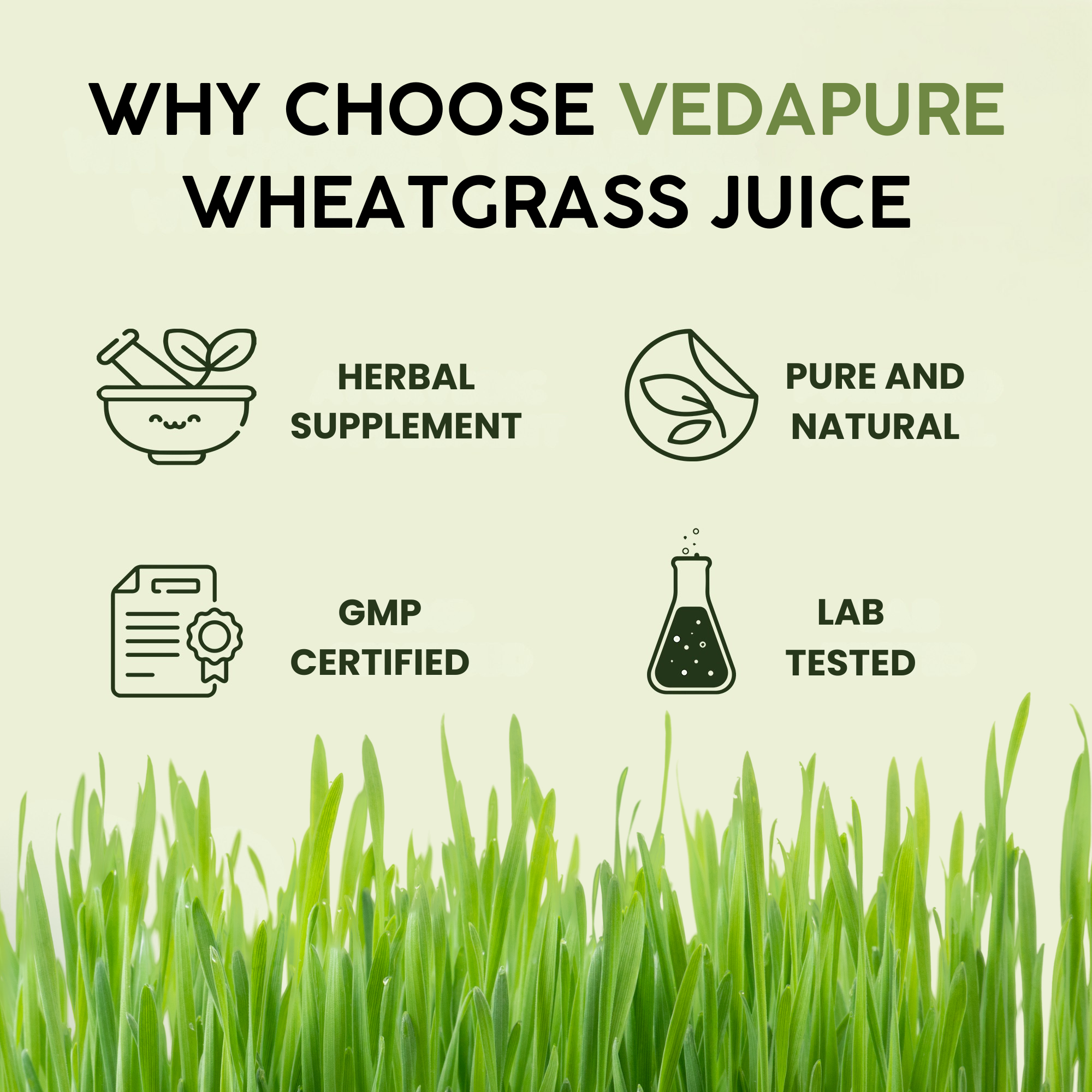 Vedapure Naturals Pure Wheatgrass Juice | Improves Immunity, Boosts Energy and Detoxify - 500ML