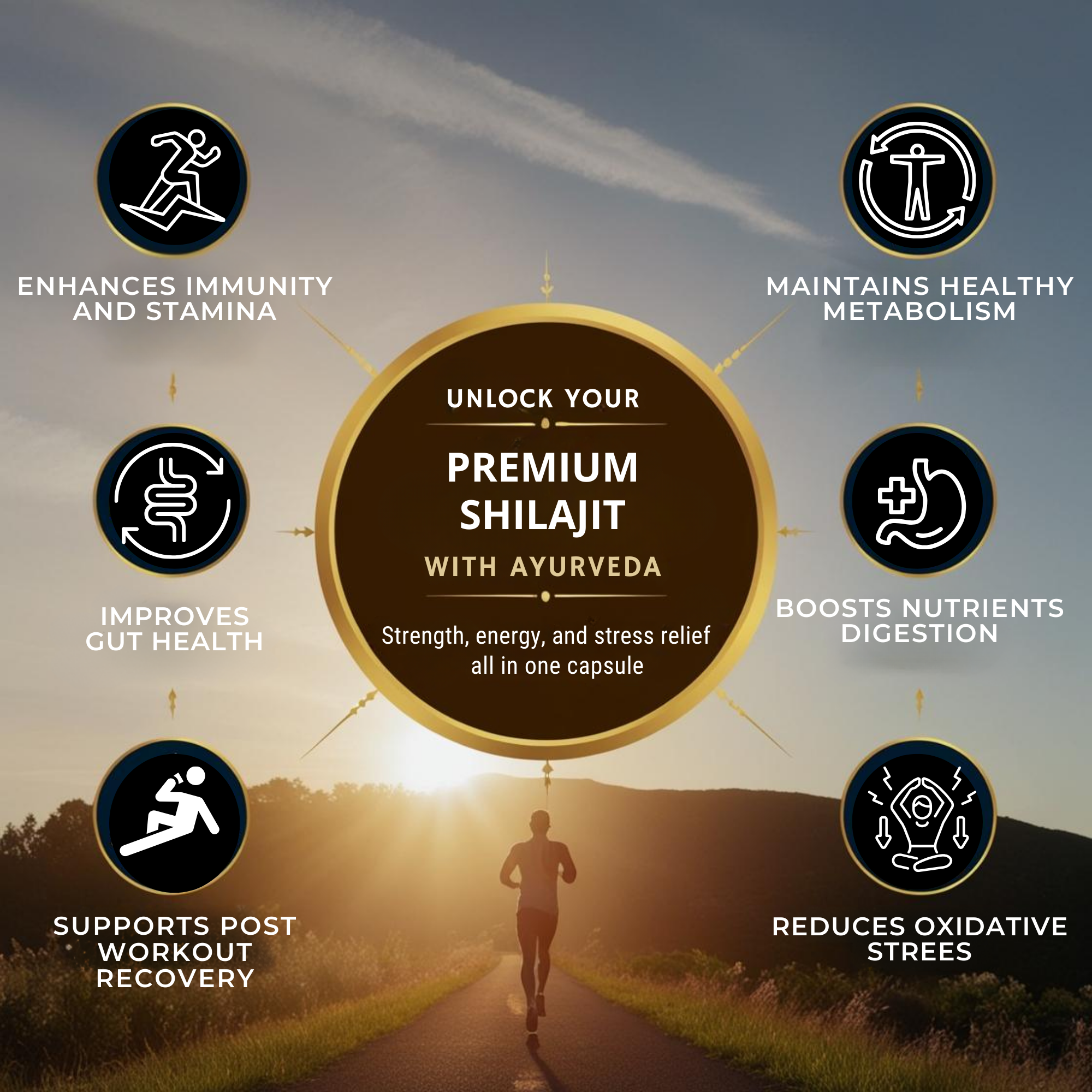 Veda Premium Shilajit 1000mg| 60 Capsules for Strength, Energy, Stamina & Performance | Ayurvedic Vitality Supplement for Men