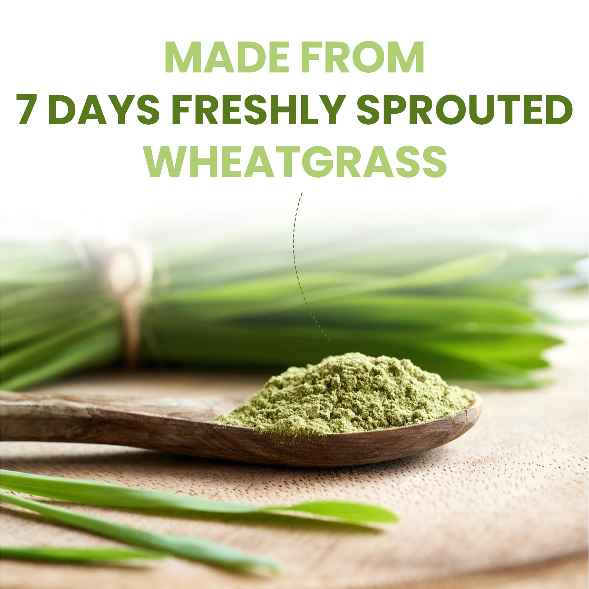 Vedapure Wheatgrass Powder – Pure & Natural Detox Superfood for Immunity & Energy – 100g