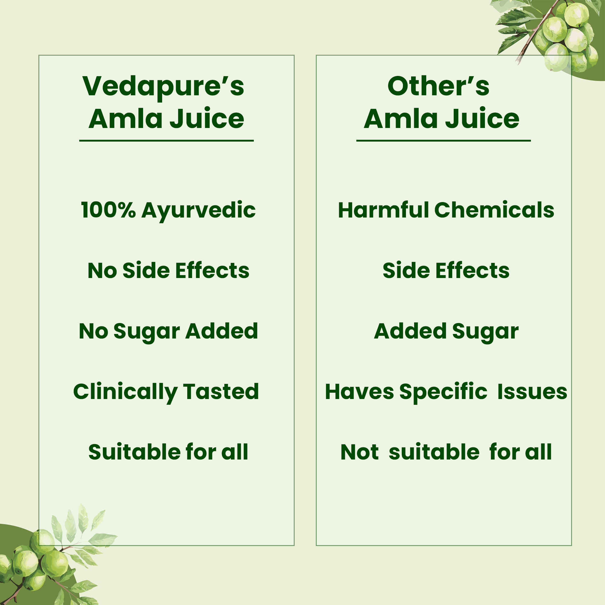 Vedapure Naturals Amla Juice Pure & Natural | Supports Immunity, Energy & Detoxification-500ML