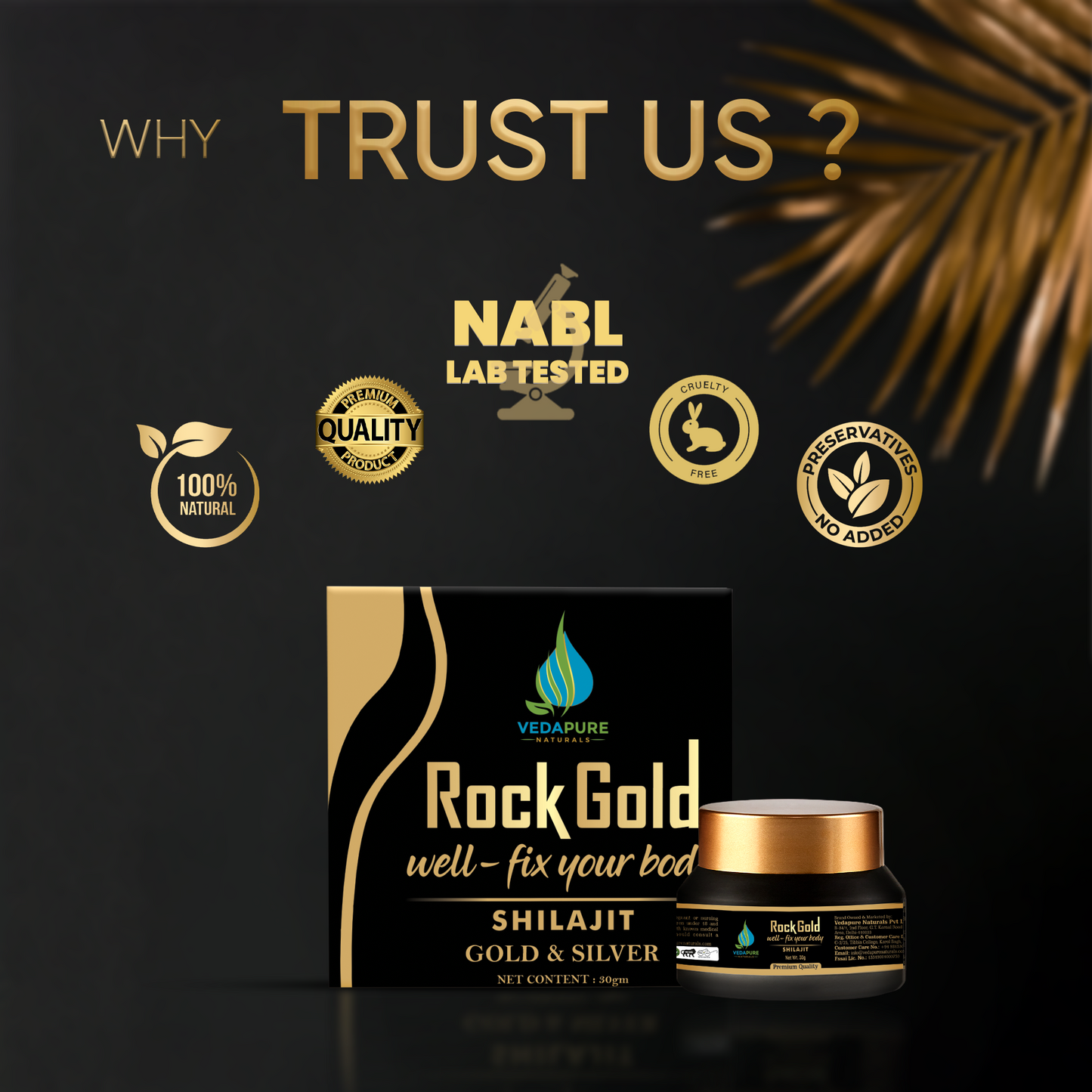 Rock Gold Shilajit Natural Source of Fulvic Acid and Trace Minerals 30gram Rock Gold