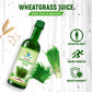 Vedapure Pure Wheatgrass Juice-500ML Vedapure Naturals